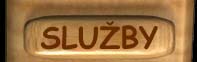 Vyhledvac sluby
